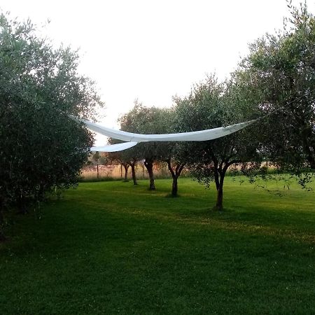 Vecchio Casale Margherita กาไมโยเร ภายนอก รูปภาพ