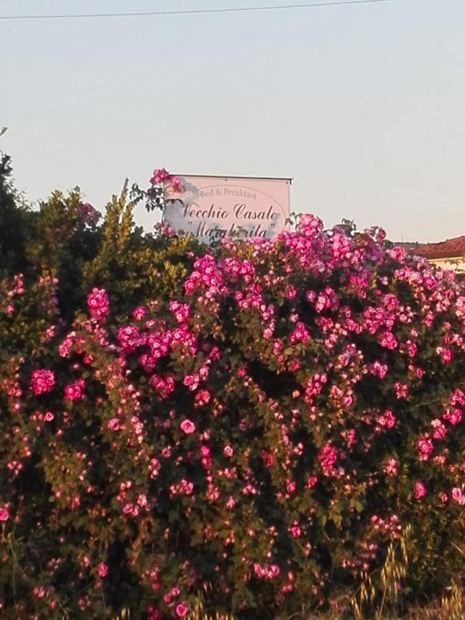 Vecchio Casale Margherita กาไมโยเร ภายนอก รูปภาพ