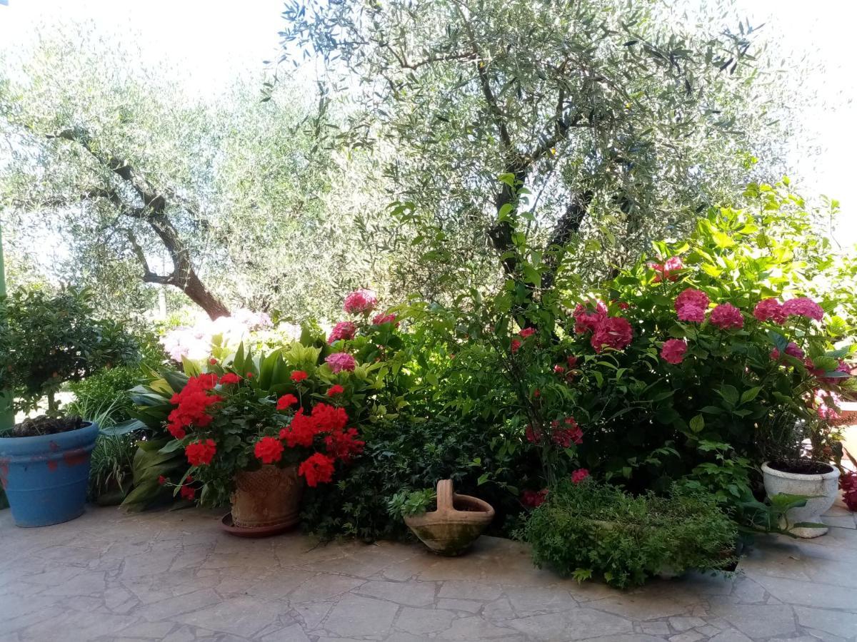 Vecchio Casale Margherita กาไมโยเร ภายนอก รูปภาพ